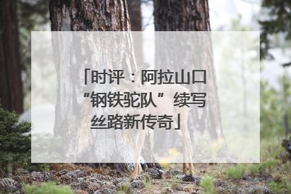 时评：阿拉山口“钢铁驼队”续写丝路新传奇