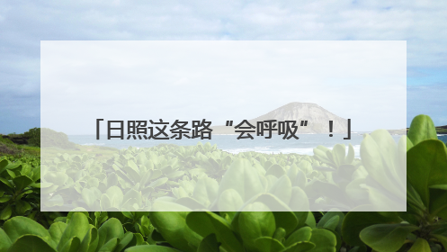 日照这条路“会呼吸”！