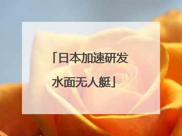 日本加速研发水面无人艇