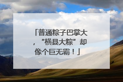 普通粽子巴掌大，“横县大粽”却像个巨无霸！