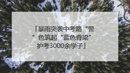 暴雨突袭中考路“警”色筑起“蓝色脊梁”护考3000余学子