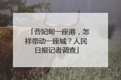 曹妃甸一座港，怎样带动一座城？人民日报记者调查