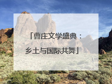 曹庄文学盛典：乡土与国际共舞
