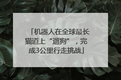 机器人在全球最长猫道上“遛狗”，完成3公里行走挑战