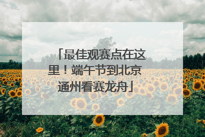 最佳观赛点在这里！端午节到北京通州看赛龙舟