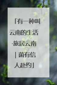 有一种叫云南的生活·旅居云南｜菌有信 人赴约