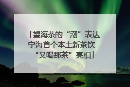 望海茶的“潮”表达 宁海首个本土新茶饮“又喝那茶”亮相