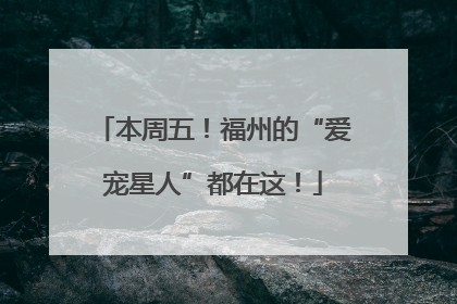 本周五！福州的“爱宠星人”都在这！