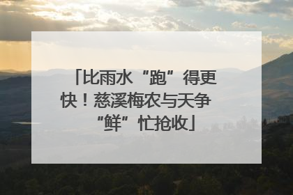 比雨水“跑”得更快！慈溪梅农与天争“鲜”忙抢收