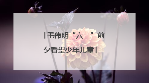 毛伟明“六一”前夕看望少年儿童