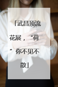 武昌顶流花展，“荷”你不见不散