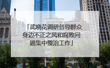 武晓花调研督导群众身边不正之风和腐败问题集中整治工作