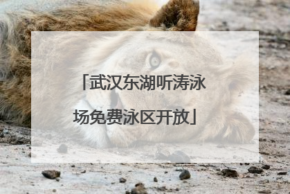 武汉东湖听涛泳场免费泳区开放