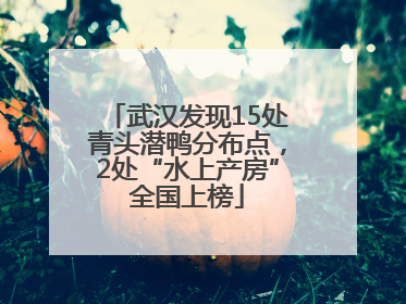 武汉发现15处青头潜鸭分布点，2处“水上产房”全国上榜