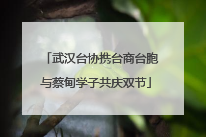 武汉台协携台商台胞与蔡甸学子共庆双节