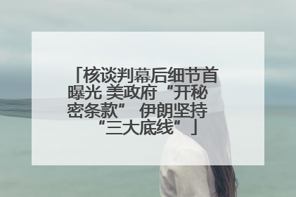 核谈判幕后细节首曝光 美政府“开秘密条款” 伊朗坚持“三大底线”