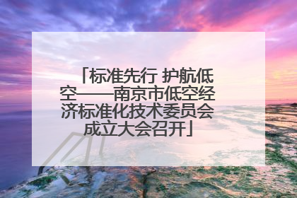 标准先行 护航低空——南京市低空经济标准化技术委员会成立大会召开