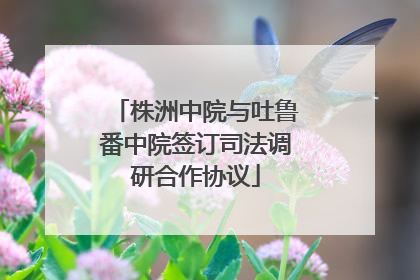 株洲中院与吐鲁番中院签订司法调研合作协议