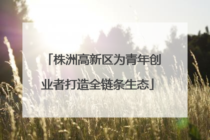 株洲高新区为青年创业者打造全链条生态