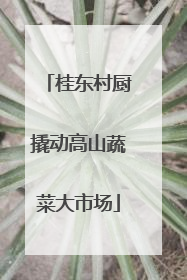桂东村厨撬动高山蔬菜大市场