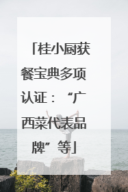 桂小厨获餐宝典多项认证：“广西菜代表品牌”等