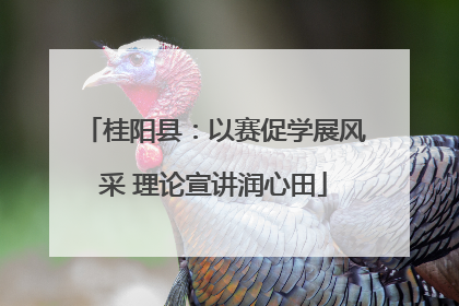 桂阳县：以赛促学展风采 理论宣讲润心田