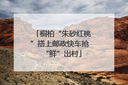 桐柏“朱砂红桃”搭上邮政快车抢“鲜”出村