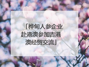 桦甸人参企业赴港澳参加吉港澳经贸交流