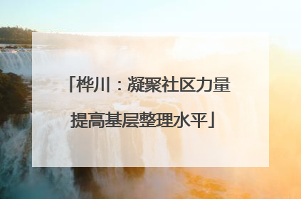桦川：凝聚社区力量 提高基层整理水平