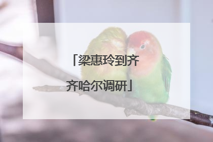 梁惠玲到齐齐哈尔调研