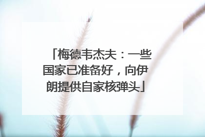 梅德韦杰夫：一些国家已准备好，向伊朗提供自家核弹头