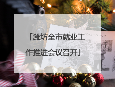 潍坊全市就业工作推进会议召开