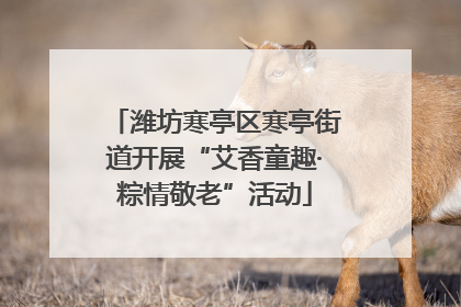 潍坊寒亭区寒亭街道开展“艾香童趣·粽情敬老”活动