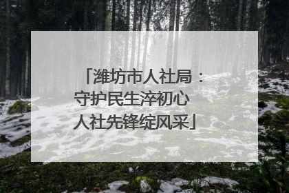 潍坊市人社局：守护民生淬初心 人社先锋绽风采