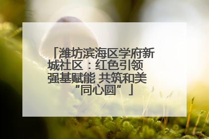 潍坊滨海区学府新城社区：红色引领 强基赋能 共筑和美“同心圆”