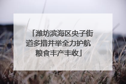 潍坊滨海区央子街道多措并举全力护航粮食丰产丰收