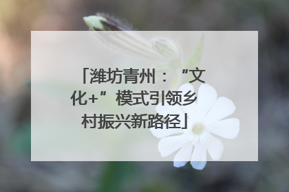 潍坊青州：“文化+”模式引领乡村振兴新路径