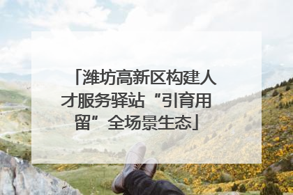 潍坊高新区构建人才服务驿站“引育用留”全场景生态