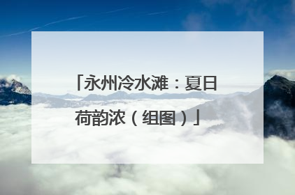 永州冷水滩：夏日荷韵浓（组图）
