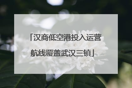 汉商低空港投入运营 航线覆盖武汉三镇