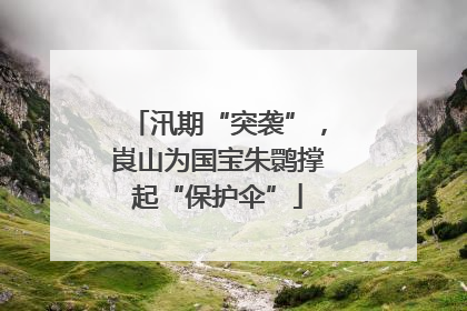 汛期“突袭”，崀山为国宝朱鹮撑起“保护伞”