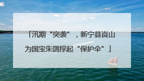 汛期“突袭”，新宁县崀山为国宝朱鹮撑起“保护伞”