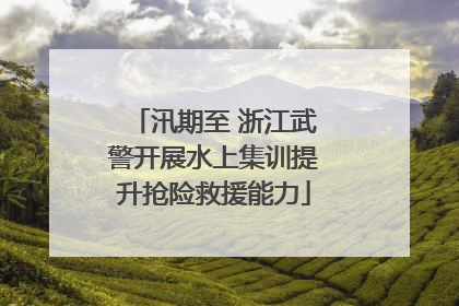 汛期至 浙江武警开展水上集训提升抢险救援能力