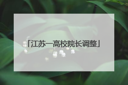 江苏一高校院长调整