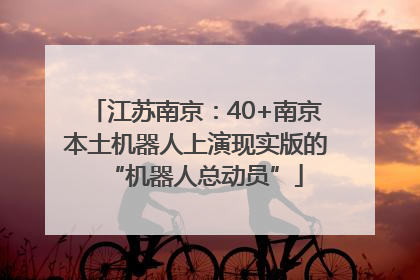 江苏南京：40+南京本土机器人上演现实版的“机器人总动员”