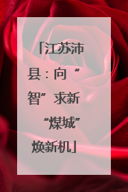 江苏沛县：向“智”求新“煤城”焕新机