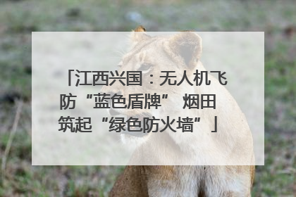 江西兴国：无人机飞防“蓝色盾牌” 烟田筑起“绿色防火墙”