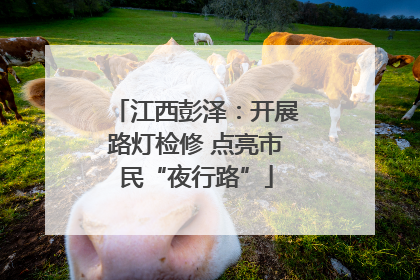 江西彭泽：开展路灯检修 点亮市民“夜行路”