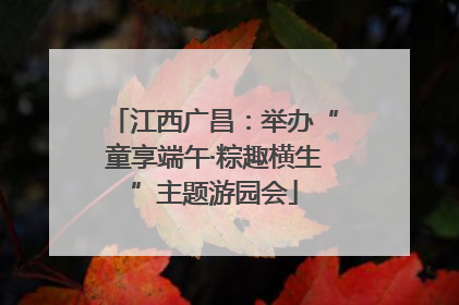 江西广昌：举办“童享端午·粽趣横生”主题游园会