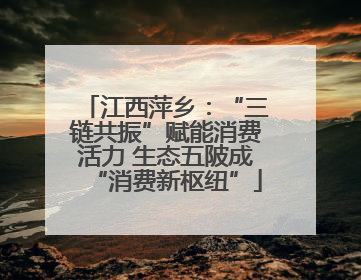 江西萍乡：“三链共振”赋能消费活力 生态五陂成“消费新枢纽”